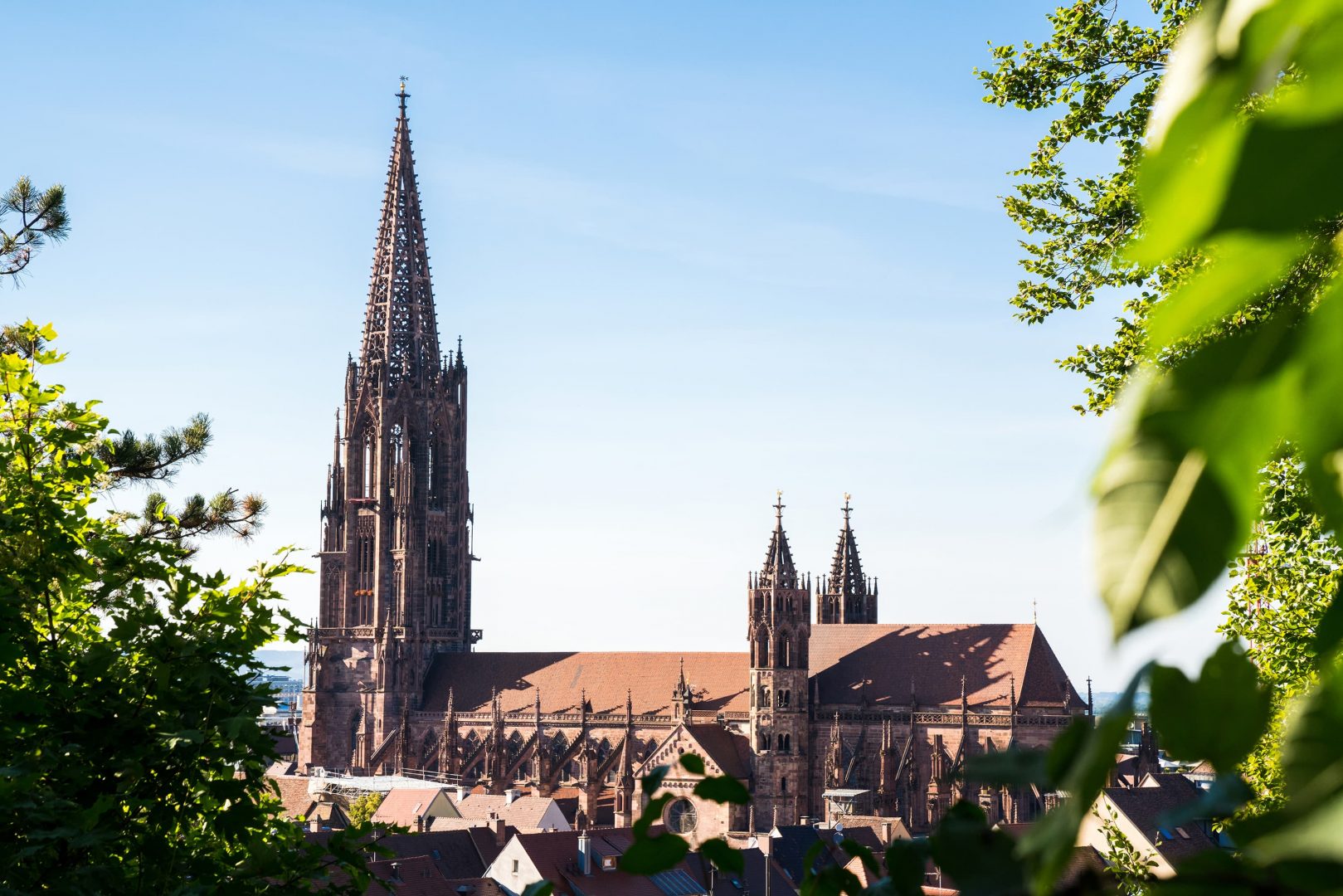 FWTM_Bilddownload_127